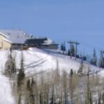 Where Do You Want to Go? Manifest It!