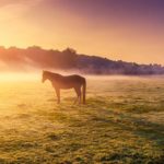 I Dared to Dream Big. Could it Happen?