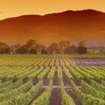 After Surgery, I Have to Find a New Home in Only Six Weeks. Will Manifesting Really Work?