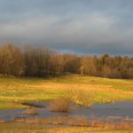 I Drew My Little House then Watched it Appear!