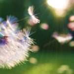 A Remarkable Time and an Opportunity to Choose