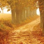 Manifesting My Golden Path