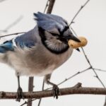 My Thoughts Did Exactly What I Told Them To Do, Ug!