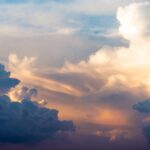 Favorite Stories From the First Half of 2021