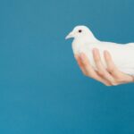 For the Asking: Shoes, Peace and Passion