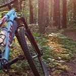 Take a Manifesting Ride on Lisa’s Blue Bike