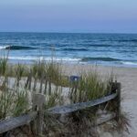 A Tender Request, A Prayer, Then a Response