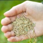 The Key is in Your Hand