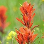 I Opened the Door and Received a Reassuring Answer