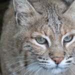 Nice Lesson: Think It and Watch It Happen!