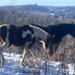 I Created the View I Had Been Longing For!