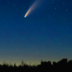 Manifesting the Answer to “What is it I am here to do?”