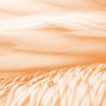 We Are Watched Over, Heard and We Are Powerful