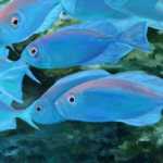 I Didn’t Realize How I Manifested a Remarkable Gift to Myself!