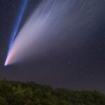 For Your Happy New Year (reprise)