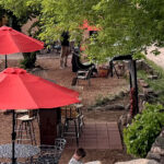 The Little Cafe That Could with Impeccable Timing on the Menu