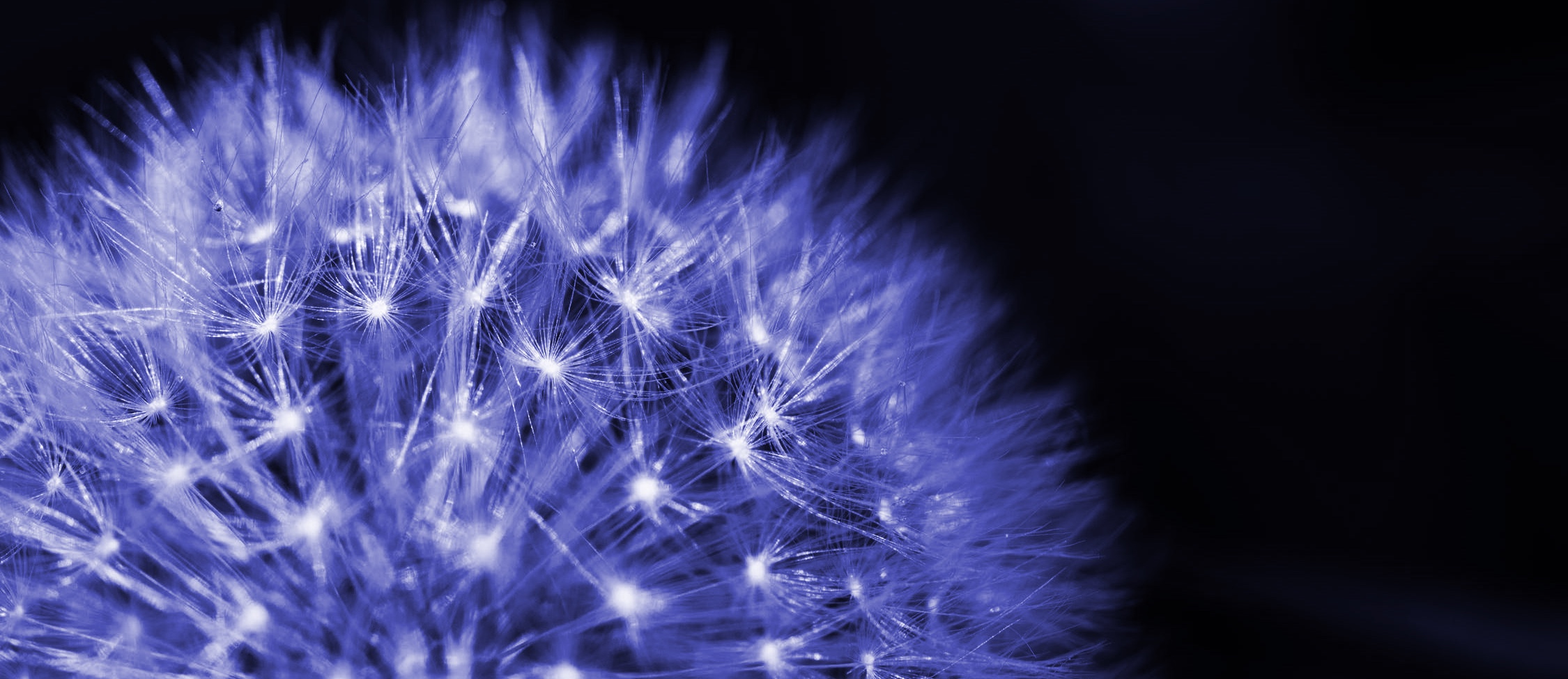 An Extraordinary Seed Story: A Remarkable Medical Outcome (reprise)